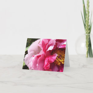 Pink Tree Peony Notecard