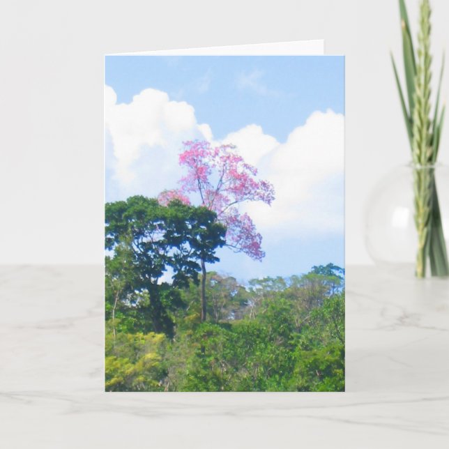Pink Tree Venezuela Jungle Landscape Card (Front)