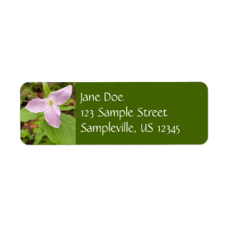 Pink Trillium Flower