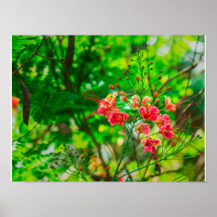 Pink Tropical Flower Photography, Lush Green Botan Poster