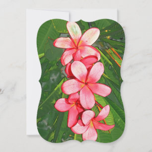Pink Tropical Frangipani Art