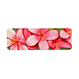 Pink Tropical Frangipani Art