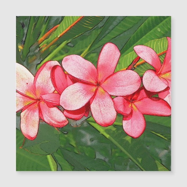Pink Tropical Frangipani Art (Front)