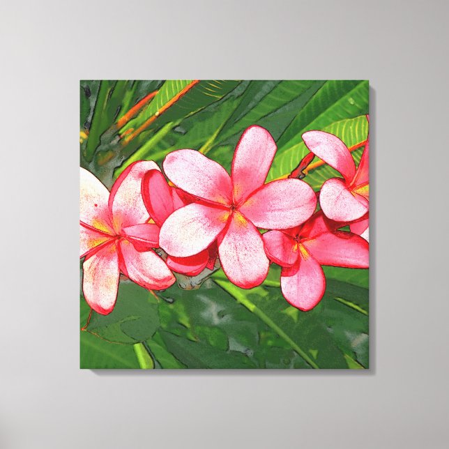 Pink Tropical Frangipani Art Canvas Print (Front)