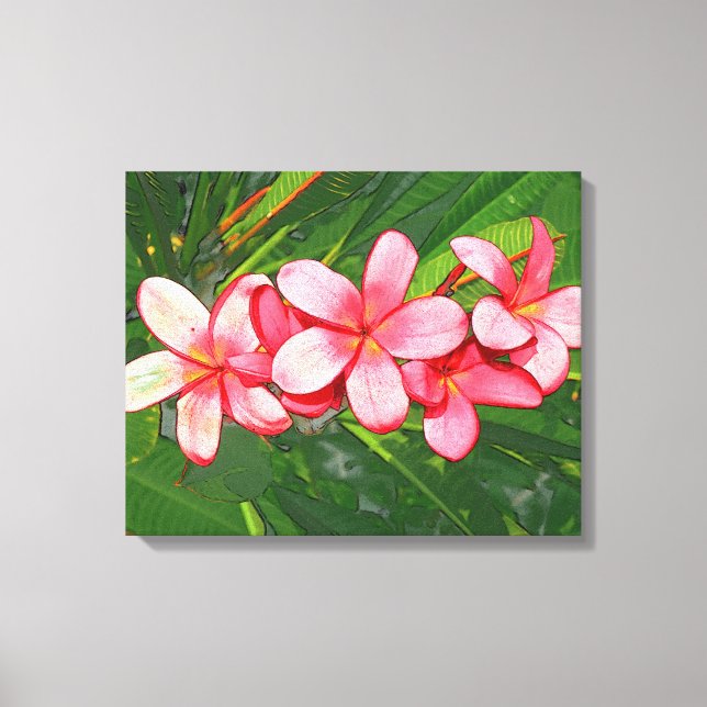 Pink Tropical Frangipani Art Canvas Print (Front)