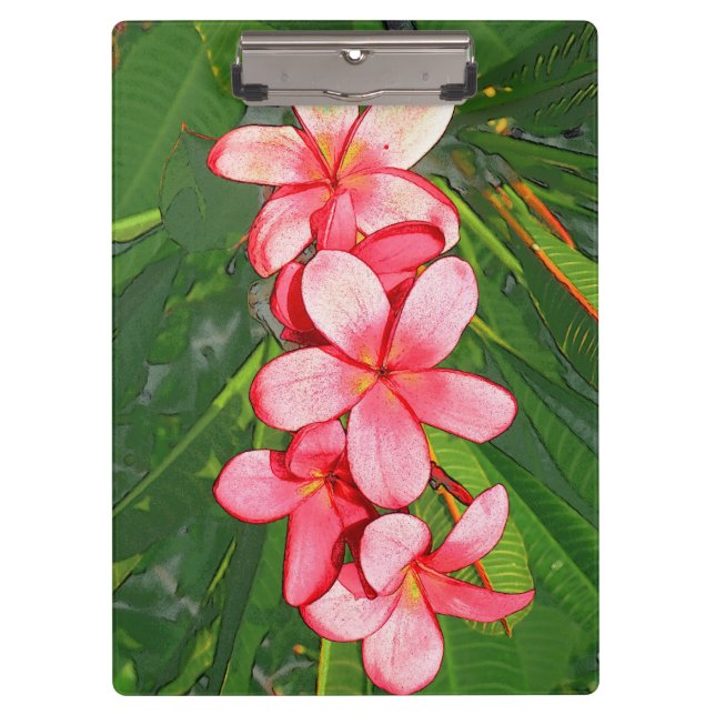 Pink Tropical Frangipani Art Clipboard (Front)