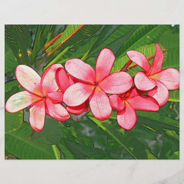 Pink Tropical Frangipani Art Flyer (Front)