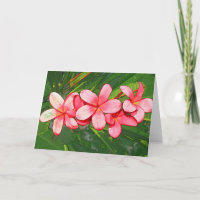 Pink Tropical Frangipani Art