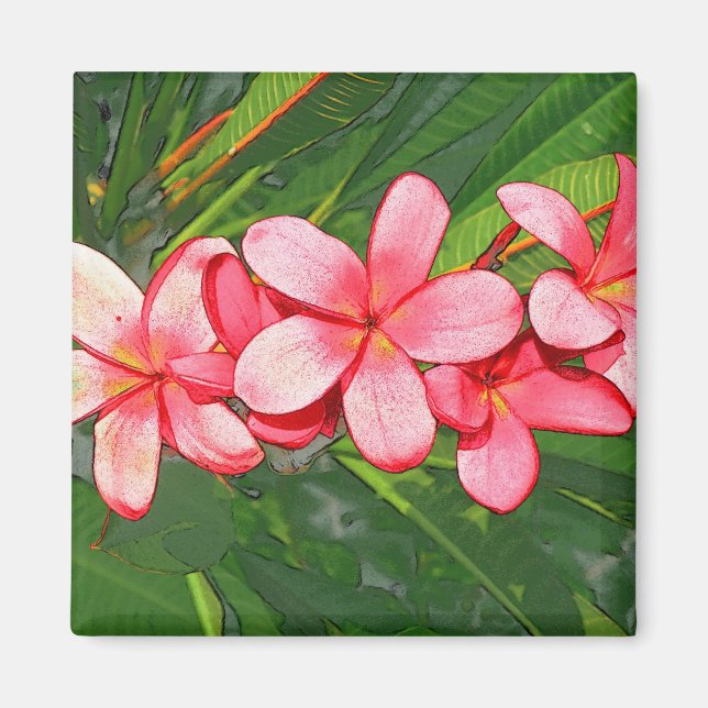 Pink Tropical Frangipani Art Magnet (Front)