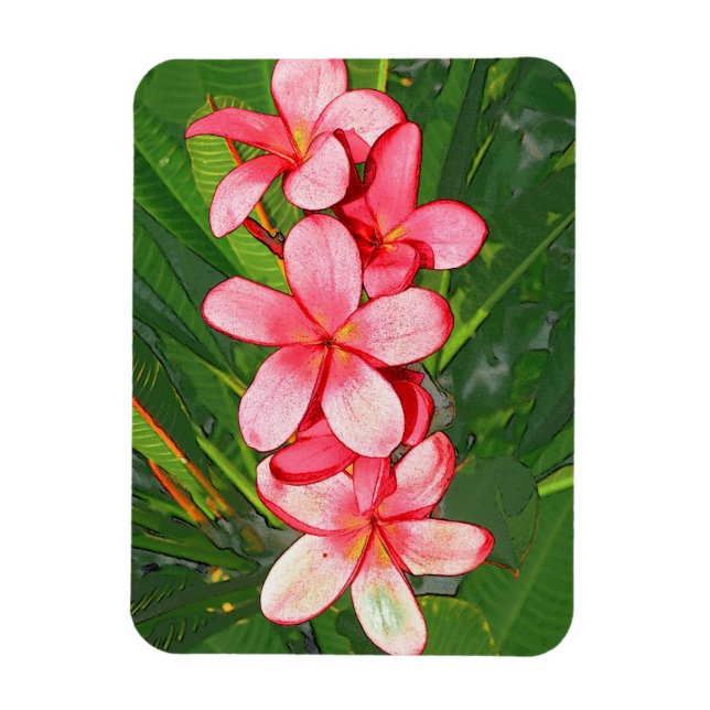 Pink Tropical Frangipani Art Magnet (Vertical)