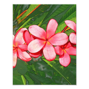 Pink Tropical Frangipani Art Photo Print