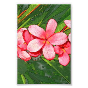 Pink Tropical Frangipani Art Photo Print