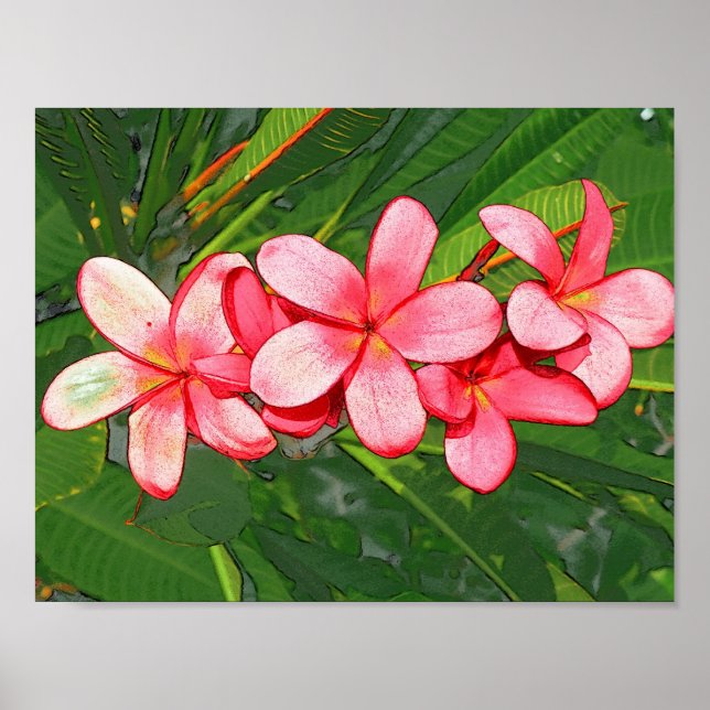 Pink Tropical Frangipani Art Poster (Front)