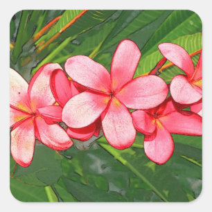 Pink Tropical Frangipani Art Square Sticker