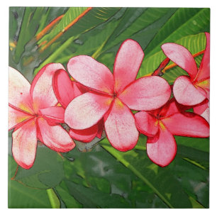 Pink Tropical Frangipani Art Tile