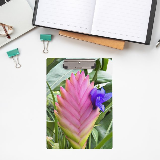 Pink Tropical Quill Plant Floral Clipboard (In Situ)