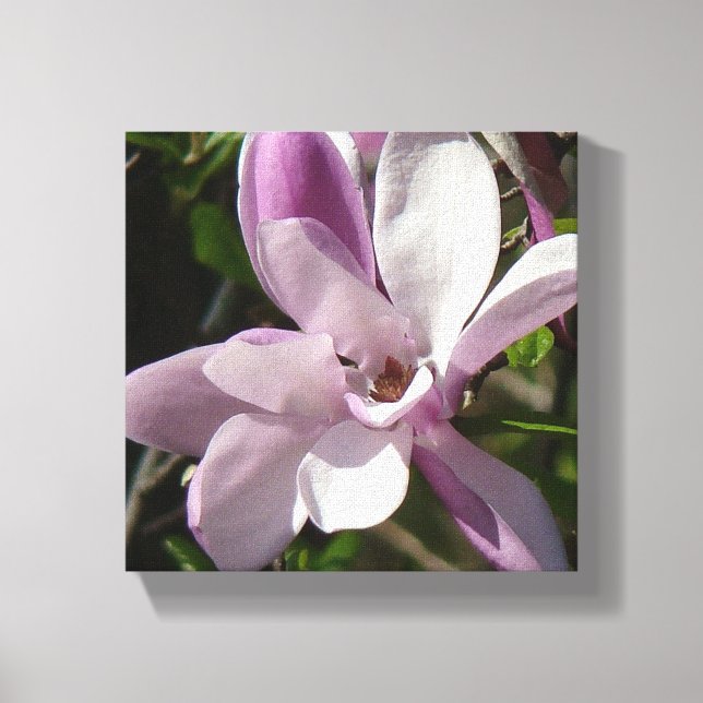 Pink Tulip Blossom of Spring Canvas Print (Front)