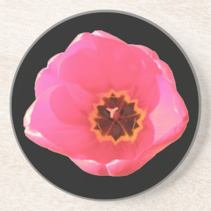 Pink Tulip Coasters
