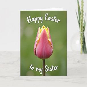 Pink Tulip Easter Sister Card