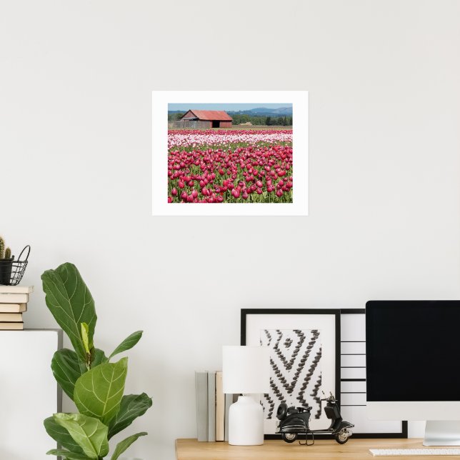 Pink Tulip Fields Floral Photographic Poster (Home Office)