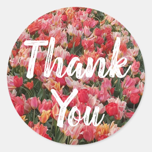Pink Tulip Flower Garden Thank You Classic Round Sticker (Front)