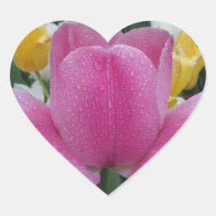 Pink Tulip Flower Heart Sticker