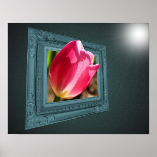 Pink Tulip Flower Out Of Frame Poster
