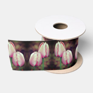 Pink Tulip Flowers With Raindrops Satin Ribbon