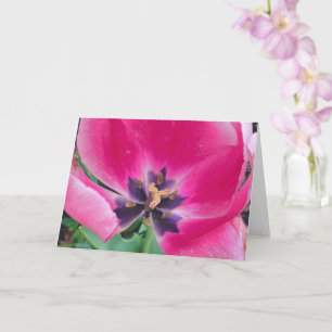 Pink Tulip Greeting Card