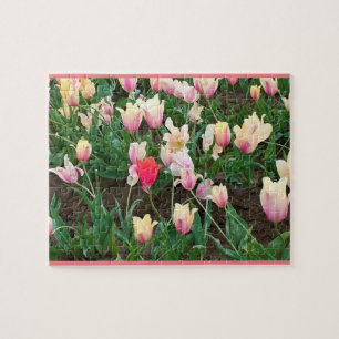 Pink Tulip in Field, Oregon Jigsaw Puzzle