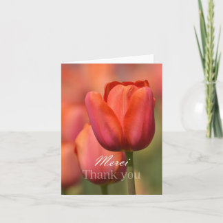 Pink Tulip Merci Thank You Notecard