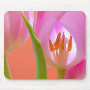 Pink tulip mouse pad