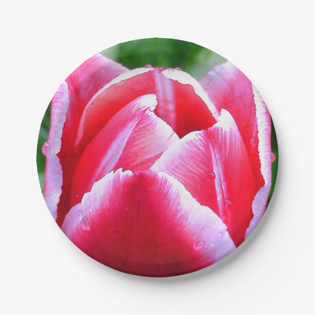 Pink Tulip Paper Plate (Front)