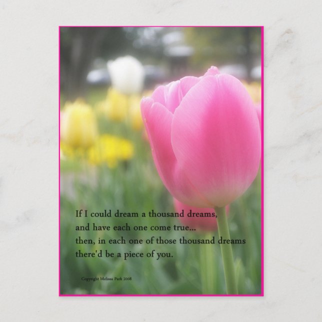 Pink Tulip Poem Postcard A Thousand Dreams (Front)
