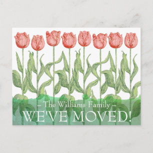 Pink Tulip Spring Flower Floral Moving Postcard