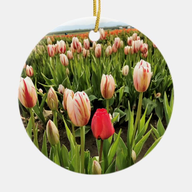 Pink Tulip Standing Out Ceramic Tree Decoration (Front)