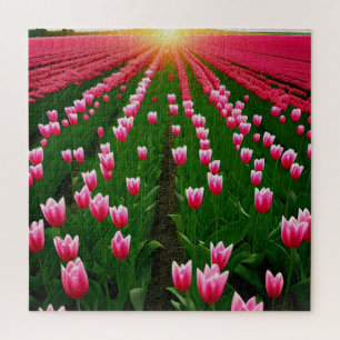 Pink Tulip Sunset Oil Paint, Jigsaw Puzzle