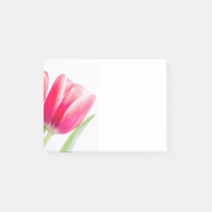 Pink Tulip with Green Leaf Photo Post-it Notes