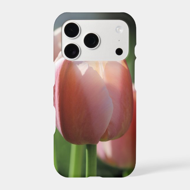Pink Tulips   (Back)