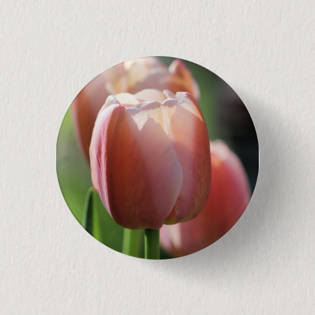 Pink tulips   3 cm round badge (Front)