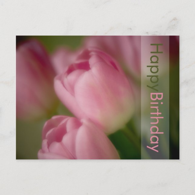 Pink Tulips Birthday Postcard (Front)