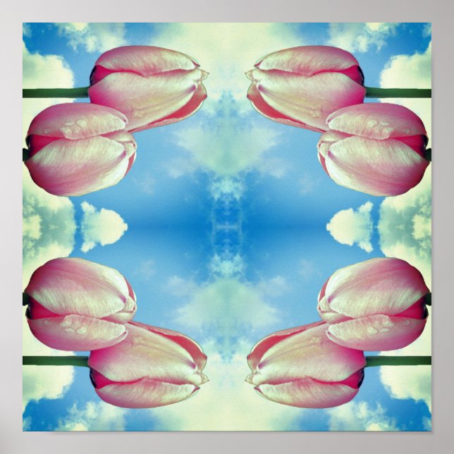 Pink Tulips Blue Sky And White Clouds Abstract  Poster (Front)