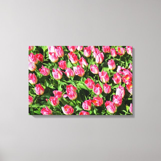 Pink tulips canvas print (Front)