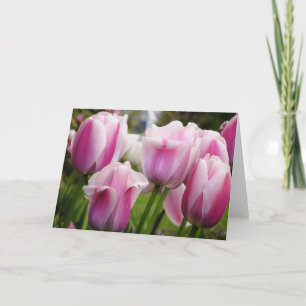 Pink Tulips card