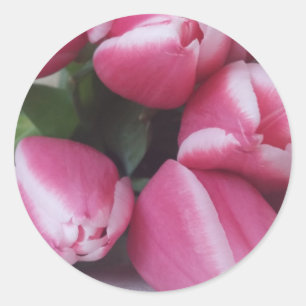 Pink Tulips Classic Round Sticker