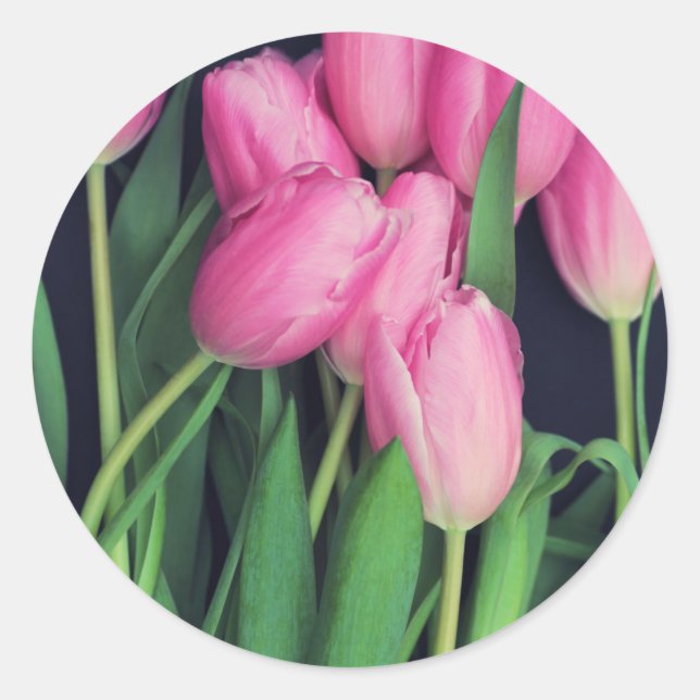Pink Tulips Classic Round Sticker (Front)