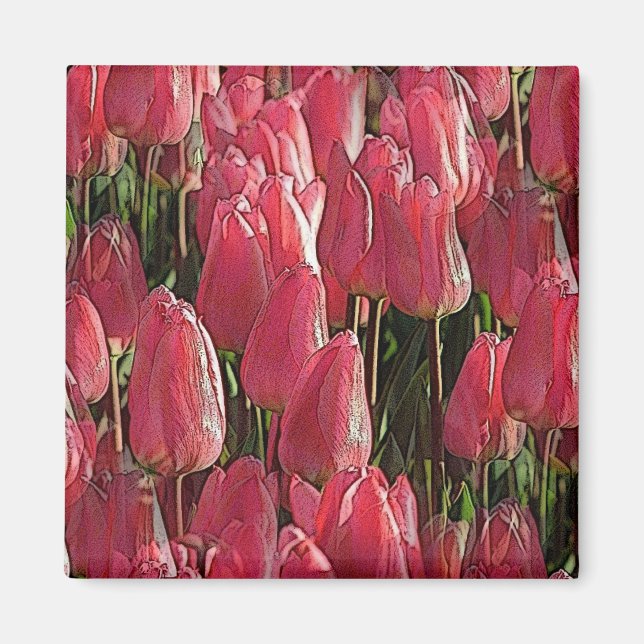 Pink Tulips Floral Magnet (Front)