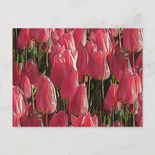 Pink Tulips Floral Postcard