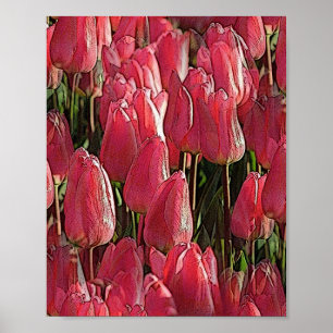 Pink Tulips Floral Poster