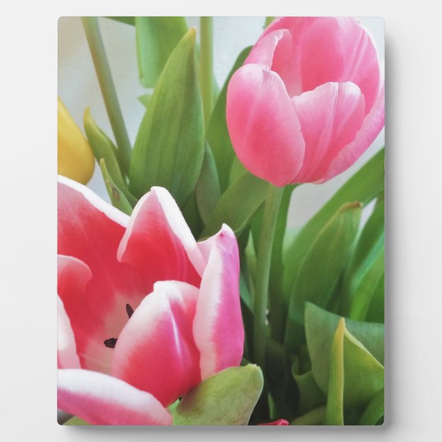 Pink Tulips, Floral Spring Bouquet, Flowers Plaque (Front)